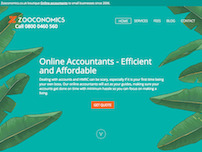 Online Accountant for limited company
